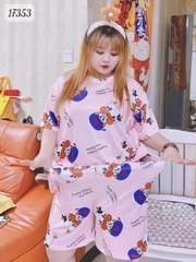 17353 SS.DAI 00243 Bò