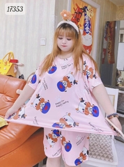 17353 SS.DAI 00243 Bò