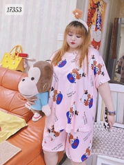 17353 SS.DAI 00243 Bò