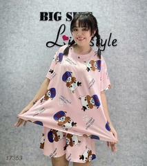 17353 SS.DAI 00243 Bò