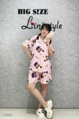 17353 SS.DAI 00243 Bò