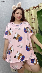 S-0020--17353- SS.DAI 00248- Bò