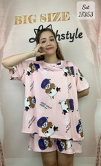 17353 SS.DAI 00243 Bò