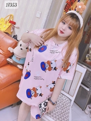 17353 SS.DAI 00243 Bò