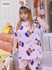 17353 SS.DAI 00243 Bò