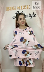 17353 SS.DAI 00243 Bò