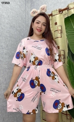 S-0020--17353- SS.DAI 00248- Bò