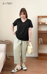 S-0030- 17651 A. Cổ tim ĐẠI ĐEN