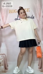 17671 A.polo-nh 00270 KEM