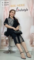 17699 A.peplum -00252- vằn 1b