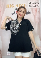 17699 A.peplum -00252- vằn 1b