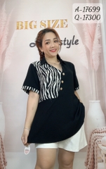 17699 A.peplum -00252- vằn 1b