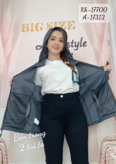 17700 KH.UV 00297 Sọc - XÁM