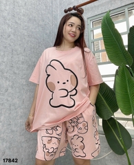 S-0020--17842 SS. Tho- 00388 HỒNG
