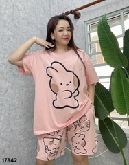 S-0020--17842 SS. Tho- 00388 HỒNG