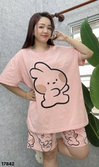S-0020--17842 SS. Tho- 00388 HỒNG