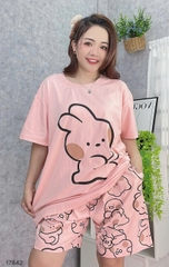 S-0020--17842 SS. Tho- 00388 HỒNG
