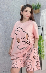 S-0020--17842 SS. Tho- 00388 HỒNG