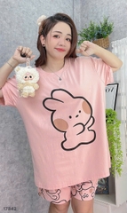 S-0020--17842 SS. Tho- 00388 HỒNG