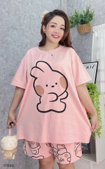 S-0020--17842 SS. Tho- 00388 HỒNG