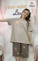 17885 SL.DAIxin Q.nâu A.nâu - NÂU - 6550