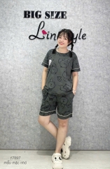 KHÔNG - Bộ đùi BIGSIZE QCCC thun cotton mịn đẹp loại 1 thấm hút mồ hôi tốt Tho- BROWN Ss.DAI - 17897- XÁM