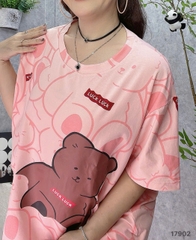 S-20--17902 SS.G- 00420- HỒNG