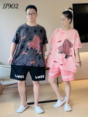 S-0020--17902 - SS. 00388 G- Luck #6508 - XÁM