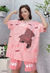 S-20--17902 SS.G- 00420- HỒNG
