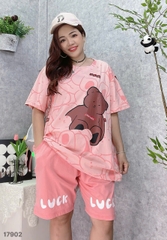 S-20--17902 SS.G- 00420- HỒNG