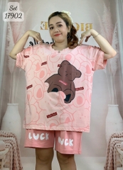 17902 SS.DAIxin 00387 G- Luck #6508 - HỒNG