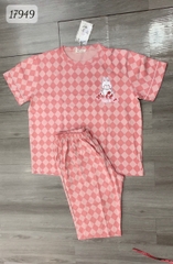 17949 SL.DAIxin CR xéo - HỒNG