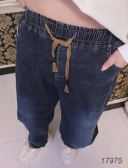 17975 Q.J dài AF 00387 XANH