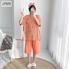 17978 SL.DAIxin G- CR - CAM