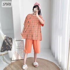 17978 SL.DAIxin G- CR - CAM