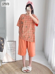 17978 SL.DAIxin G- CR - CAM