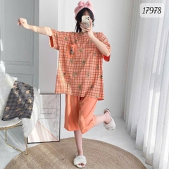 17978 SL.DAIxin G- CR - CAM