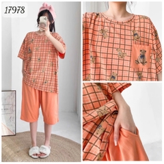 17978 SL.DAIxin G- CR - CAM