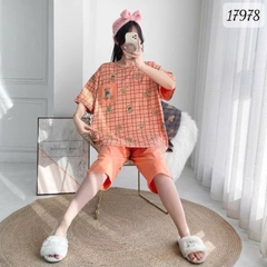 17978 SL.DAIxin G- CR - CAM