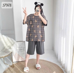 17978 SL.DAIxin G- CR - XÁM