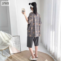 17978 SL.DAIxin G- CR - XÁM