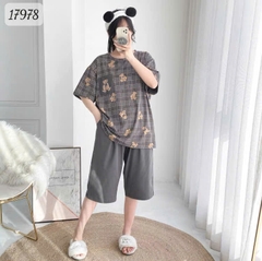 17978 SL.DAIxin G- CR - XÁM