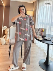 17981 SD.TN 00387 Dâu Lot.so - XÁM - 6288