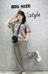 17981 SD.TN 00387 Dâu Lot.so - XÁM - 6288