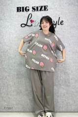 17981 SD.TN 00387 Dâu Lot.so - XÁM - 6288