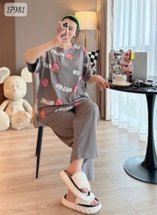 17981 SD.TN 00387 Dâu Lot.so - XÁM - 6288