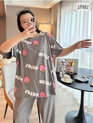 17981 SD.TN 00387 Dâu Lot.so - XÁM - 6288