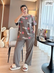 17981 SD.TN 00387 Dâu Lot.so - XÁM - 6288