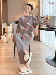 17981 SD.TN 00387 Dâu Lot.so - XÁM - 6288