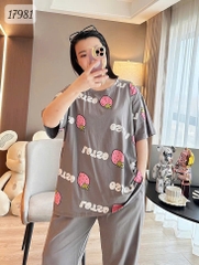 17981 SD.TN 00387 Dâu Lot.so - XÁM - 6288